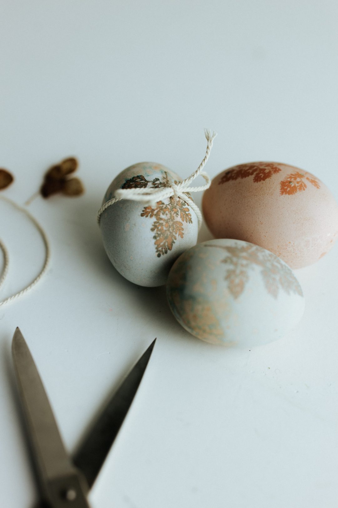 C'est Arrivé Près De Chez Vous Veilleur De Nuit Noir Teinture naturelle pour Oeufs de pâques / Naturally dyed Easter Eggs