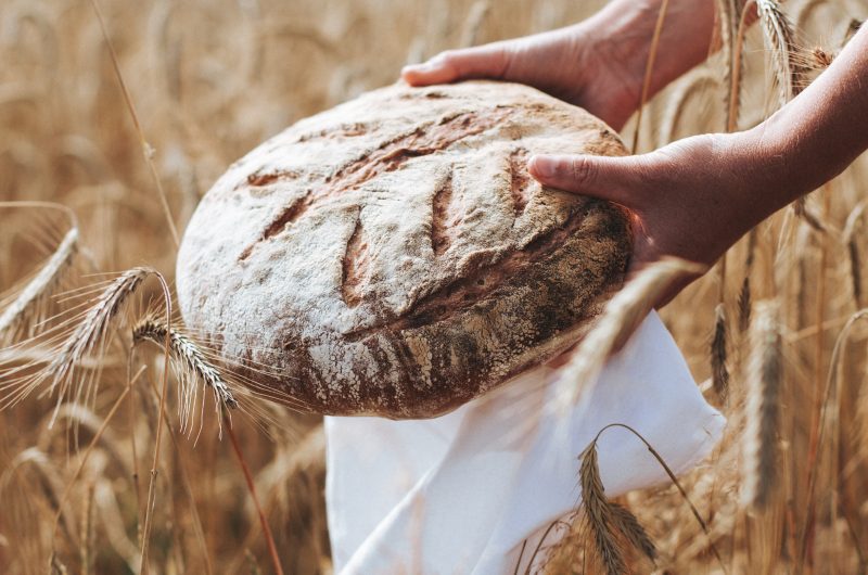 Pain à l'épeautre - Spelt flour Bread